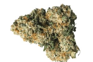 mediproCan Lunaris 23/1